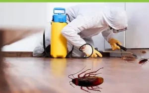 مكافحة الصراصير
